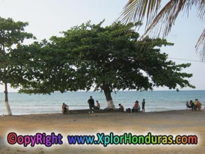 Paseo Turistico de Los Ceibeños Paseo Turistico de Los Ceibeños