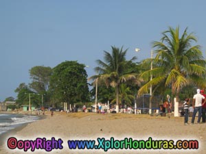 Paseo de Los Ceibeños Paseo de Los Ceibeños
