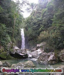 Cascada de Rio Zacate Cascada de Rio Zacate