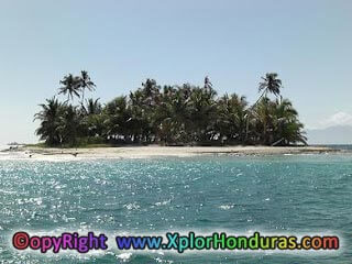 Cayo Paloma, Cayos Cochinos Cayo Paloma, Cayos Cochinos