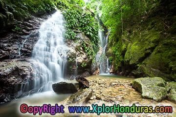 Las Cascadas Lodge Las Cascadas Lodge Pico Bonito