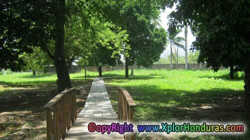 Sendero Interpretativo Sendero Interpretativo