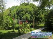 Credia jardin botanico La Ceiba Honduras