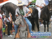 Carnaval de La Ceiba Desfile de Carrozas 2012