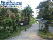 Jardin Botanico Lancetilla Honduras