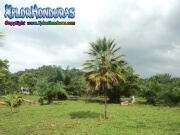 Paisaje de Tela Honduras