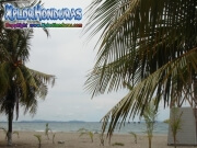 Playas de Tela Honduras