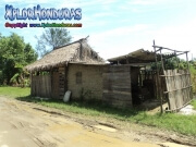 Tela Atlantida Honduras Paisaje