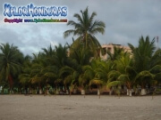Tela City Honduras