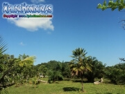 Tela Honduras pictures