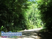 parque nacional pico bonito, rio cangrejal, camino a parque nacional nombre de dios