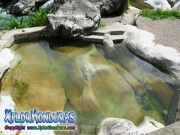 parque nacional pico bonito, rio cangrejal, piscina en hotel jungle river lodge