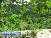 parque nacional pico bonito, rio cangrejal, cordillera nombre de dios