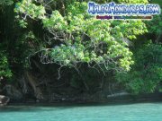 parque-nacional-punta-sal-jeannette-kawas-tela-honduras-04