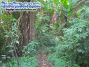 parque-nacional-punta-sal-jeannette-kawas-tela-honduras-09