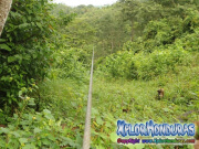 Canopy Rawacala Ecopark