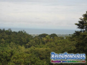 Vista Playas de Omoa Rawacala Ecopark