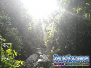 Bosque Rawacala Ecopark Omoa Cortes