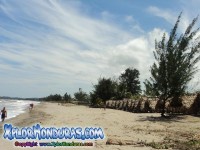 Fotos Tela Atlantida