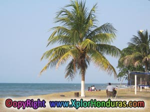 Paseo de Los Ceibeños