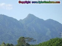 Parque Nacional Pico Bonito