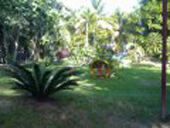 Video Conozca La Ceiba Honduras