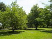 Video Jardin Credia La Ceiba Honduras