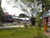 Video Plaza Central La Ceiba