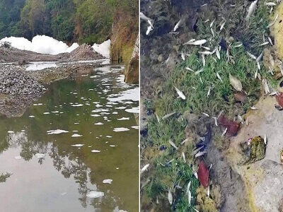 Ácido Sulfónico en el Río Chamelecón