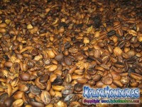 Cafe de Honduras