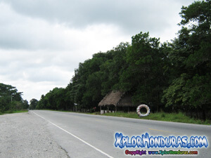 Carreteras de Honduras Carretera San Pedro Sula La Ceiba CA-13