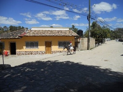 Cedros Francisco Morazan Honduras Cedros Francisco Morazan Honduras