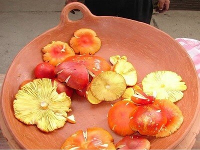 Comida Tipica de Intibuca Choro