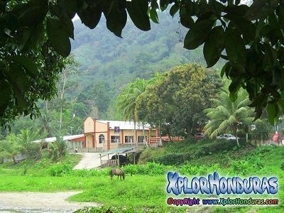 Comunidades de Lancetilla Tela Honduras