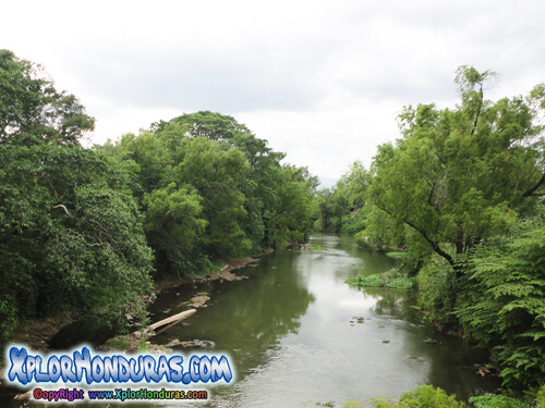 Contaminacion del Rio Chamelecon