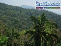 Cordillera Central Honduras