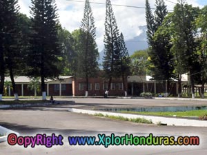 Centro Universitario Regional del Litoral Atlántico, Curla