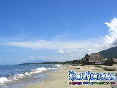 Fotos de Corozal Honduras