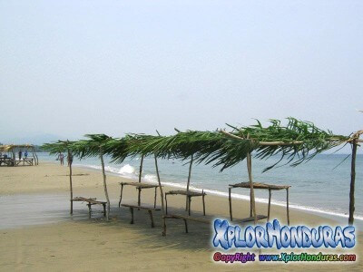 Fotos de La Ensenada Tela Honduras Fotos de La Ensenada Tela Honduras