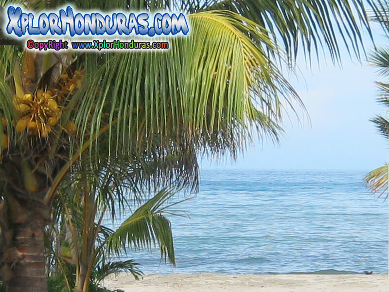 Fotos de Sambo Creek Atlantida