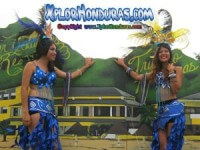 Fotos Desfile de Carrozas 2015 parte 1