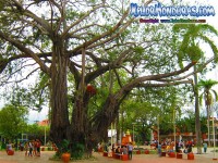 Fotos plaza parque central, centro La Ceiba, Honduras