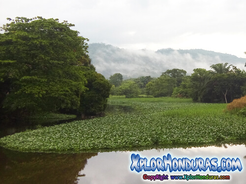 Humedales de Honduras