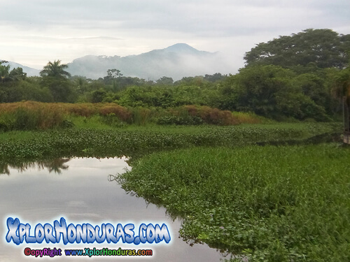 Humedales de Honduras