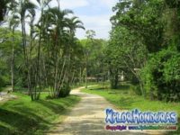 Jardin Botanico Lancetilla