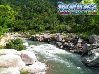 Jungle River Lodge Rio Cangrejal La Ceiba Honduras