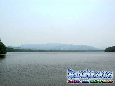 Laguna Negra La Ensenada Tela Honduras Laguna Negra La Ensenada Tela Honduras