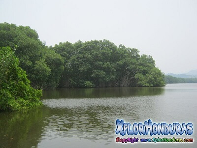 Laguna Negra La Ensenada Tela Laguna Negra La Ensenada Tela