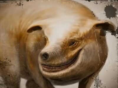 Leyenda de El Picudo Leyenda de El Picudo