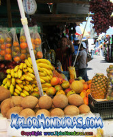 Lo Esencial Alfonso Guillen Zelaya